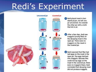 Redi’s Experiment
 