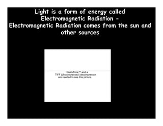 Light is a form of energy called
          Electromagnetic Radiation -
Electromagnetic Radiation comes f
El           i R di i           from the sun and
                                       h       d
                  other sources




                         QuickTime™ and a
               TIFF (Uncompressed) decompressor
                  are needed to see this picture.
 