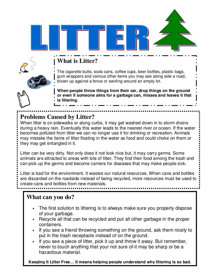 What is litter