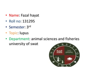 • Name: Fazal hayat
• Roll no: 131295
• Semester: 3rd
• Topic: lupus
• Department: animal sciences and fisheries
university of swat
 