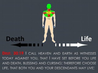 DEUT. 30:19
 