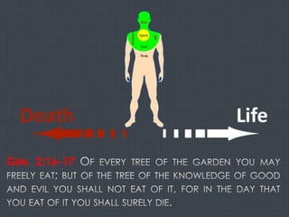 GEN. 2:16-17
 