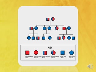 what is medical genetics.pdf