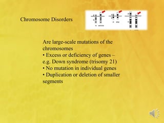 Chromosome Disorders
Are large-scale mutations of the
chromosomes
• Excess or deficiency of genes –
e.g. Down syndrome (trisomy 21)
• No mutation in individual genes
• Duplication or deletion of smaller
segments
 