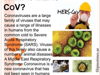 WHAT IS MERS-
COV?
Coronaviruses are a large
family of viruses that may
cause a range of illnesses
in humans from the
common cold to Severe
Acute Respiratory
Syndrome (SARS). Viruses
of this family also cause a
number of animal diseases.
A Middle East Respiratory
Syndrome Coronavirus is a
new coronavirus that has
not been seen in humans
filipinotimes.ae
 