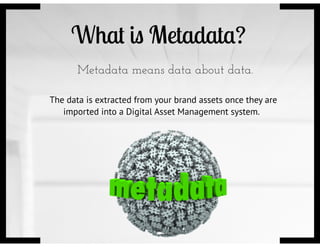 What is Metadata?