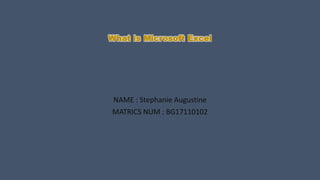 What is Microsoft Excel
NAME : Stephanie Augustine
MATRICS NUM : BG17110102
 