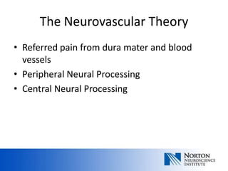 The Neurovascular Theory
• Referred pain from dura mater and blood
  vessels
• Peripheral Neural Processing
• Central Neural Processing
 