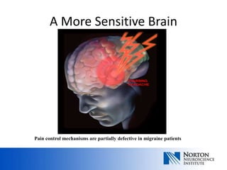 A More Sensitive Brain




Pain control mechanisms are partially defective in migraine patients
 