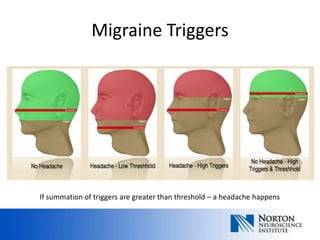 Migraine Triggers




If summation of triggers are greater than threshold – a headache happens
 