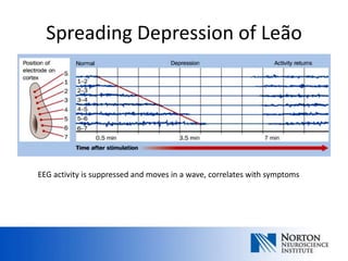 Spreading Depression of Leão




EEG activity is suppressed and moves in a wave, correlates with symptoms
 