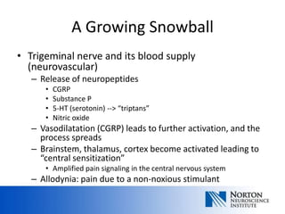 A Growing Snowball
• Trigeminal nerve and its blood supply
  (neurovascular)
   – Release of neuropeptides
      •   CGRP
      •   Substance P
      •   5-HT (serotonin) --> “triptans”
      •   Nitric oxide
   – Vasodilatation (CGRP) leads to further activation, and the
     process spreads
   – Brainstem, thalamus, cortex become activated leading to
     “central sensitization”
      • Amplified pain signaling in the central nervous system
   – Allodynia: pain due to a non-noxious stimulant
 