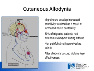 Cutaneous Allodynia
        Migraineurs develop increased
        sensitivity to stimuli as a result of
        increased nerve excitability
        80% of migraine patients had
        cutaneous allodynia during attacks
        Non painful stimuli perceived as
        painful
        After allodynia occurs, triptans lose
        effectiveness
 