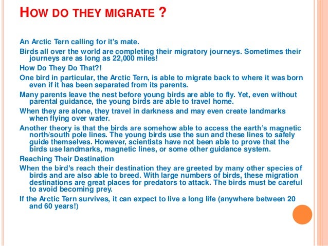 what is migration what is migration