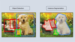 Object Detection Instance Segmentation
 
