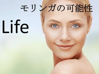 モリンガの可能性

Life
 