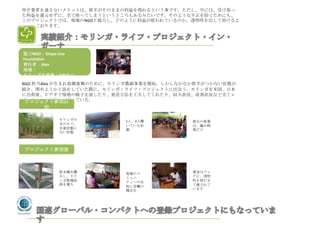 仲介業者を通さないメリットは、買手がそのままの利益を得れるという事です。ただし、中には、受け取っ
た利益を還元せずに、全て使ってしまうというところもあるみたいです。そのような不正を防ぐためにも、
このプロジェクトでは、現地のNGOと協力し、どのように利益が使われているのか、透明性を出して頂けるよ
うにしております。




協力NGO：Shape Live
Foundation
責任者：Alex
地域：
モリンガ生産量：100キロ
NGO 担当Alex が生まれ故郷復興のために、モリンガ農園事業を開始。しかしなかなか買手がつかない状態が
続き、閉めようかと話をしていた際に、モリンガ・ライフ・プロジェクトに出会う。モリンガを米国、日本
に出荷後、ビデオで現地の様子を流したり、発送方法を工夫してくれたり、収入状況、改善状況など全てレ
ポートにまとめ送って頂いている。
 プロジェクト参加以
      前

           モリンガの         1人、2人働           地元の産業
           木のみで、
                         いている状            は、編み物
           生産状態に         態                業だけ
           ない状態



プロジェクト参加後



           粉末機を購         地域のコ             賃金はフェ
           入し、モリ         ミュニ              アに、透明
           ンガ乾燥技         ティーの女            性を持たせ
           術を導入                           て渡されて
                         性に労働の
                         機会を              います
 