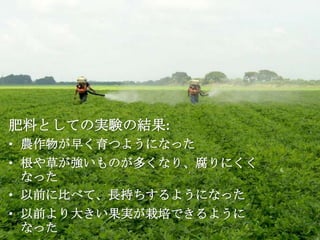 肥料としての実験の結果:
• 農作物が早く育つようになった
• 根や草が強いものが多くなり、腐りにくく
  なった
• 以前に比べて、長持ちするようになった
• 以前より大きい果実が栽培できるように
  なった
 