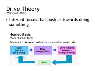 Drive Theory Internal forces that push us towards doing something (Woodworth 1918) Homeostasis  (Walter Cannon 1939) Tendency to keep a constant or balanced internal state 