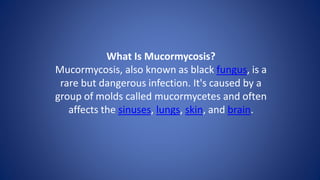 What Is Mucormycosis?
Mucormycosis, also known as black fungus, is a
rare but dangerous infection. It's caused by a
group of molds called mucormycetes and often
affects the sinuses, lungs, skin, and brain.
 