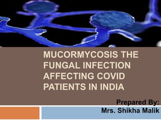 MUCORMYCOSIS THE
FUNGAL INFECTION
AFFECTING COVID
PATIENTS IN INDIA
Prepared By:
Mrs. Shikha Malik
 