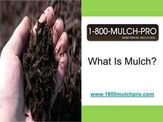 What Is Mulch? www.1800mulchpro.com 