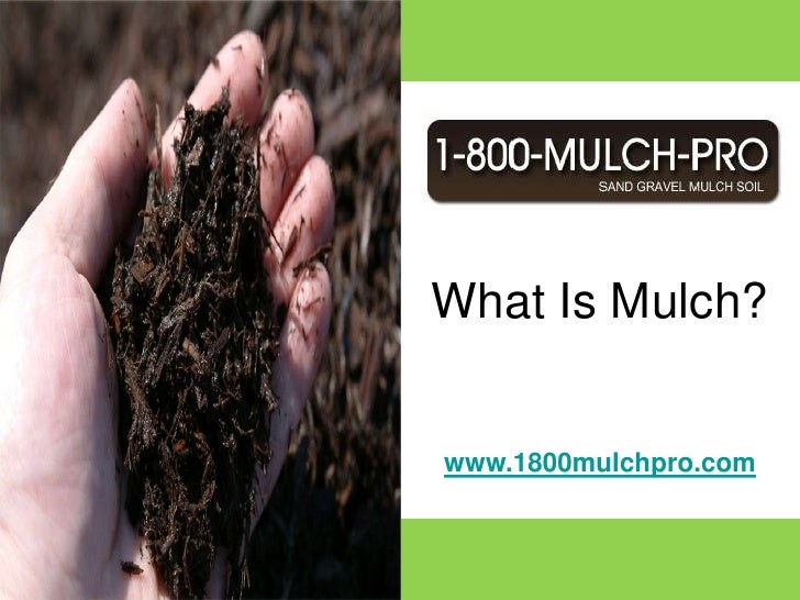What Is Mulch?
