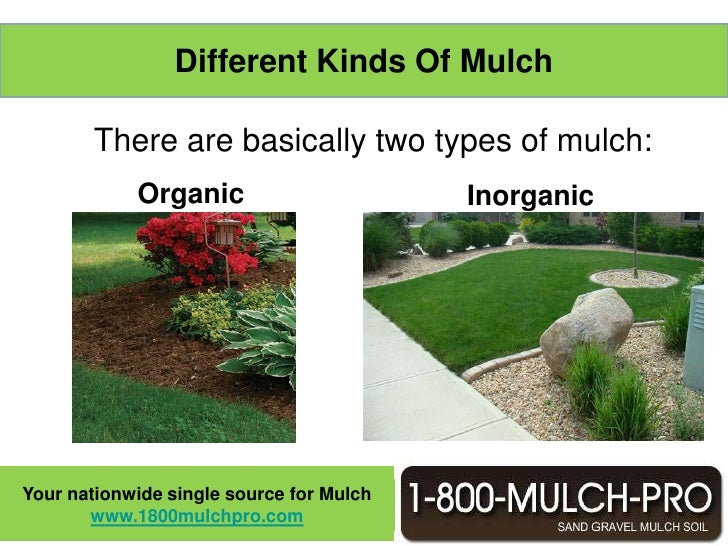 what is mulch