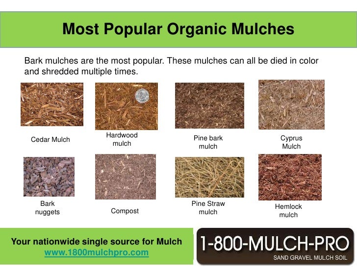 what is mulch