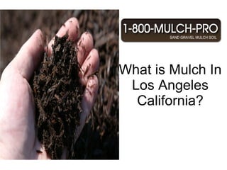 What is Mulch In Los Angeles California? Why use Mulch In Los Angeles California? Los Angeles California has the best Mulch.  Using mulch can benefit your garden and landscape. Los Angeles California is known for its beautiful mulched landscaped gardens. There are many different types of mulch in Los Angeles California. There is inorganic and organic mulch for your gardens and landscape.   Find the best mulch in Los Angeles California by calling 1-800-MULCH PRO.   