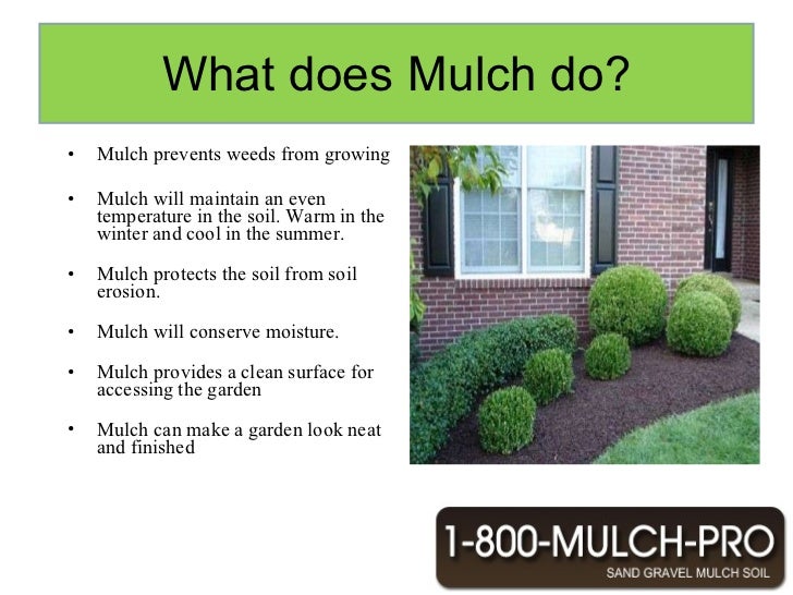 what is mulch