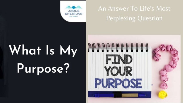 What Is My
Purpose?
An Answer To Life’s Most
Perplexing Question
 