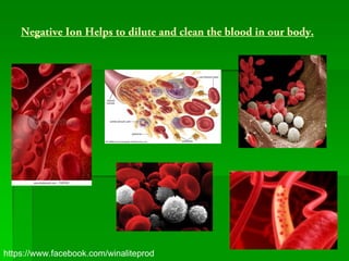 Negative Ion Helps to dilute and clean the blood in our body.




https://www.facebook.com/winaliteprod
 