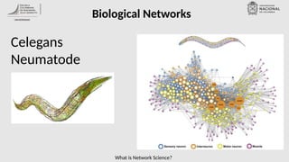 What is Network Science?
Biological Networks
Celegans
Neumatode
 