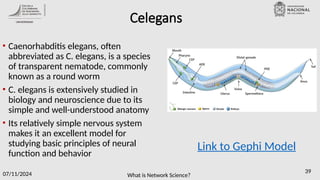What is Network Science?
07/11/2024 39
Celegans
• Caenorhabditis elegans, often
abbreviated as C. elegans, is a species
of transparent nematode, commonly
known as a round worm
• C. elegans is extensively studied in
biology and neuroscience due to its
simple and well-understood anatomy
• Its relatively simple nervous system
makes it an excellent model for
studying basic principles of neural
function and behavior
Link to Gephi Model
 