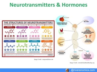 Design Tactics
@riveranomics.com
Image Credit: zenexmachina.com
Image Credit: rrfirearms.com
Image Credit: stanford.edu
 