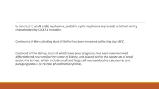 Bellini Rcc What is new in Genitourinary pathology | PPTX