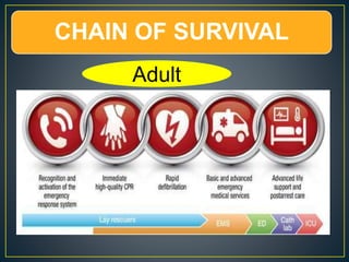 CHAIN OF SURVIVAL
Adult
 