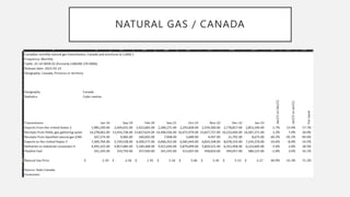 What is next for Natural Gas.pptx