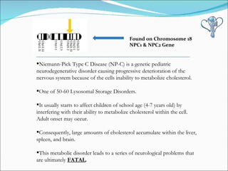 Niemann-Pick Type C Disease (NP-C) is a genetic pediatric neurodegenerative disorder causing progressive deterioration of the nervous system because of the cells inability to metabolize cholesterol.  One of 50-60 Lysosomal Storage Disorders.  It usually starts to affect children of school age (4-7 years old) by interfering with their ability to metabolize cholesterol within the cell. Adult onset may occur. Consequently, large amounts of cholesterol accumulate within the liver, spleen, and brain.  This metabolic disorder leads to a series of neurological problems that are ultimately  FATAL . Found on Chromosome 18 NPC1 & NPC2 Gene 