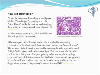 The transport of cholesterol in the cells is studied by measuring conversion of the cholesterol from one form to another ("esterification"). The storage of cholesterol is assessed by staining the cells with a chemical ("filipin") that glows under ultraviolet light. This can show whether the cholesterol is being stored inappropriately in lysosomes, the recycling centers of the cell. It is important that both the transport and storage tests be performed, since reliance on one or the other may lead to an incorrect diagnosis or a missed diagnosis of a variant form of NPC.  ( www.nnpdf.org ) It can be determined by taking a small piece of skin ("skin biopsy"), growing the cells ("fibroblasts") in the laboratory, and studying their ability to transport and store cholesterol.  ( www.nnpdf.org ) Unfortunately there is no quick available test that will give you the answer. How is it diagnosed? Foamy Macrophages: Webpathology.com 