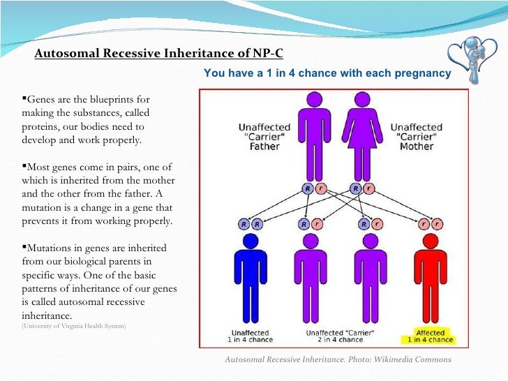 What is NiemannPick Type C Disease?