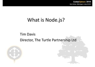 What	is	Node.js?
Tim	Davis	
Director,	The	Turtle	Partnership	Ltd
 