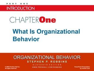 Chapter One

What Is Organizational
Behavior
ORGANIZATIONAL BEHAVIOR
S T E P H E N P. R O B B I N S
E L E V E N T H
© 2005 Prentice Hall Inc.
All rights reserved.

E D I T I O N

WWW.PRENHALL.COM/ROBBINS

PowerPoint Presentation
by Charlie Cook

 