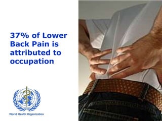 37% of Lower
Back Pain is
attributed to
occupation
 