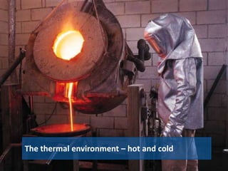 The thermal environment – hot and cold
 