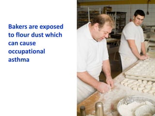 Bakers are exposed
to flour dust which
can cause
occupational
asthma
 