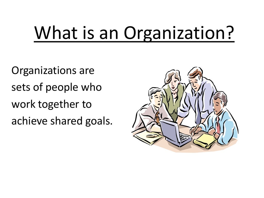 What is organizational behaviour