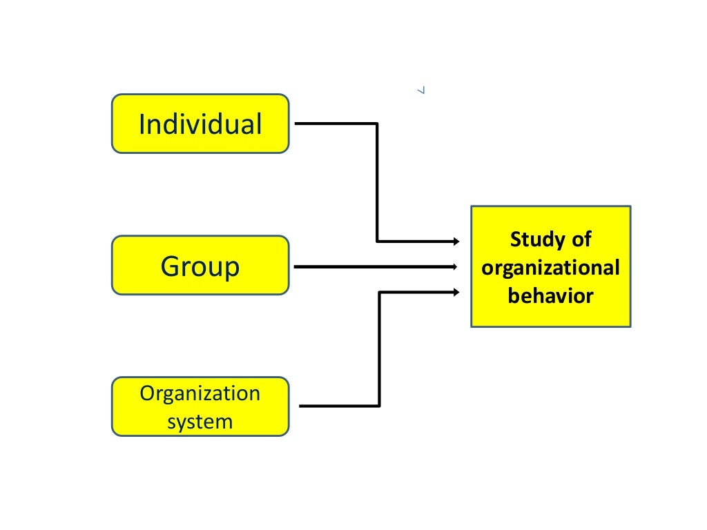 What is organizational behaviour