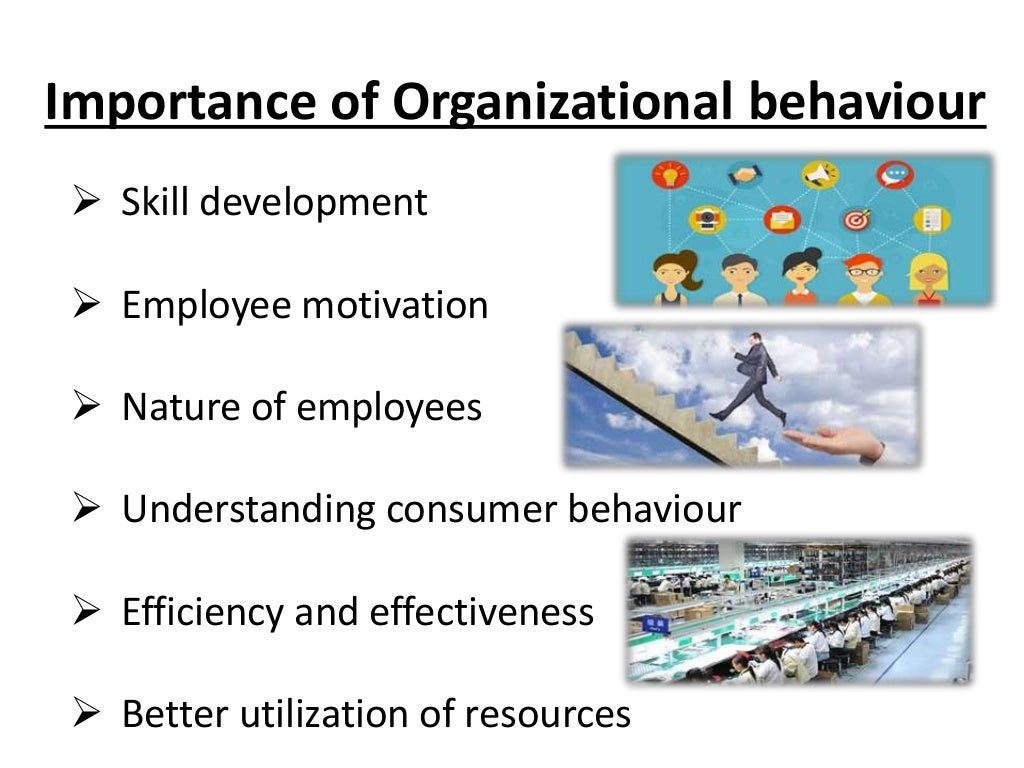 What is organizational behaviour